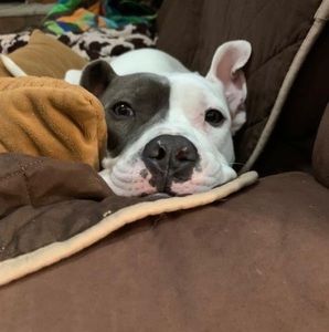 Meet your Posher, Jamie